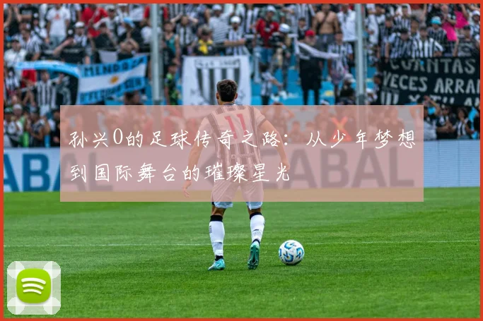 孙兴O的足球传奇之路：从少年梦想到国际舞台的璀璨星光