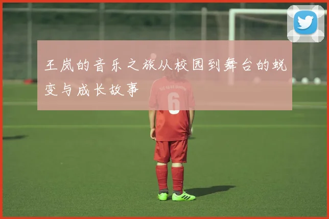 王岚的音乐之旅从校园到舞台的蜕变与成长故事