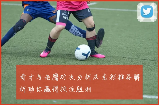 奇才与老鹰对决分析及竞彩推荐解析助你赢得投注胜利